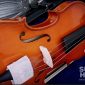 Alat musik gesek, biola. l sukabumiheadline.com