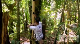 Petani aren di Kabupaten Sukabumi. l Istimewa