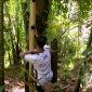 Petani aren di Kabupaten Sukabumi. l Istimewa