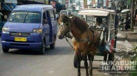 Angkot 09 trayek Cibadak - Cicurug, Kabupaten Sukabumi. l Istimewa