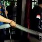 Ular king cobra ditangkap di rumah warga Cikembar. l Istimewa