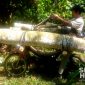Engkreg didesain untuk digunakan di medan terjal dan curam. l sukabumiheadline.com