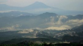 Gunung Halimun yang selalu diselimuti kabut. l Istimewa