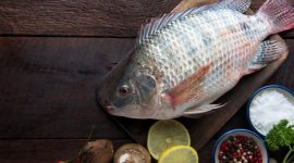 Ikan mujair kaya protein. l Istimewa