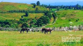 Wisata alam ke Fina Farm Sukabumi serasa mengunjungi New Zealand. l Istimewa