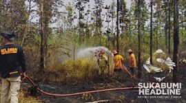 Kebakaran lahan di Jampang Tengah. l Istimewa