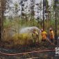 Kebakaran lahan di Jampang Tengah. l Istimewa