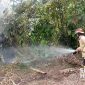 Kebakaran lahan di Parakansalak. l Istimewa