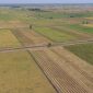 Food Estate di Kalimantan. l Kementerian Pertanian