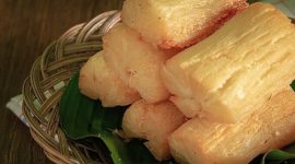 Singkong atau ketela pohon. l Istimewa