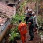 Rumah warga Nagrak, Kabupaten Sukabumi tertimpa pohon tumbang. l Istimewa