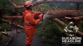 Pohon tumbang di ruas jalan penghubung Cidahu-Parakansalak. l Istimewa