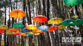 Wisata hutan pinus di Bukit Baros. l Istimewa