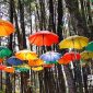 Wisata hutan pinus di Bukit Baros. l Istimewa