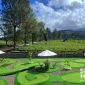 Mini golf di Goalpara Tea Park. l Istimewa