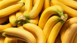 Buah pisang. l Istimewa