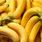 Buah pisang. l Istimewa