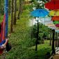 Bukit Jati Kejora Sukabumi. l Istimewa