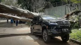 Pohon tumbang di depan rumah Prabowo Subianto timpa Fortuner. l Istimewa