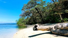 Pantai Cipunaga, sepenggal tanah surga di Selatan Sukabumi. l Istimewa