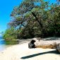 Pantai Cipunaga, sepenggal tanah surga di Selatan Sukabumi. l Istimewa