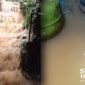 Rumah warga Kampung Babakan Kaum, Cicurug kebanjiran diduga akibat pembangunan gudang milik PT Wings Food. l Anry Wijaya