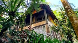 The Michael Resort, sensasi menginap di tengah hutan pinus di Kawasan Wisata Gunung Salak Endah. l Istimewa