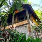 The Michael Resort, sensasi menginap di tengah hutan pinus di Kawasan Wisata Gunung Salak Endah. l Istimewa