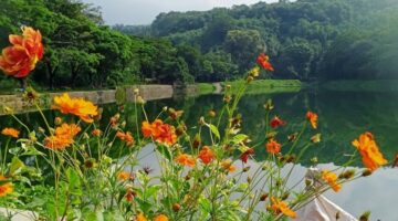 Situ Batu Karut, Sukaraja, Kabupaten Sukabumi - Ist