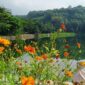 Situ Batu Karut, Sukaraja, Kabupaten Sukabumi - Ist