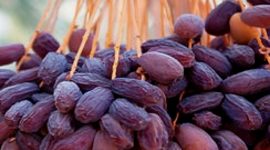Kurma Jericho Delights dipilih dari kurma terbaik. l Istimewa