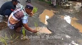 Aksi unjuk rasa warga menanam padi sebagai memprotes jalan rusak di Sukabumi. - Ujang Priatman