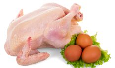 Indonesia swasembada daging dan telur ayam, berapa kontribusi dari Sukabumi