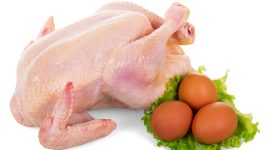 Ilustrasi daging ayam dan telur. - Istimewa
