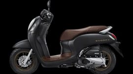 Honda Scoopy Prestige Black pilihan terbaik untuk hari raya, cek terjangkau. - Istimewa
