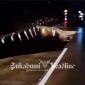 Longsor di Kilometer 64 Jalan Tol Bocimi, ruas Cigombong-Cibadak. - Istimewa