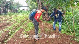 Penemuan diduga jejak macan tutul di Sukaraja Sukabumi - Budiyanto