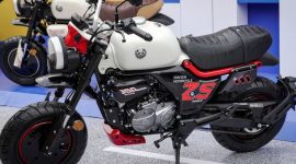 Zonsen ZS 150 Mini Panda dengan mesin tegak khas motor sport - motorradonline.de