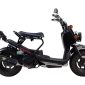 Sudah meluncur Honda Ruckus, motor matik bertampang unik, harga bersahabat - Istimewa