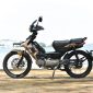Aveta Ranger Cub Cross 115 - Istimewa