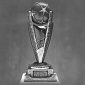 Piala Presiden - Istimewa
