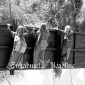 Miris, pelajar di Sukabumi setiap hari harus lewati jembatan miring Sungai Cikaso untuk ke sekolah - Budiyanto