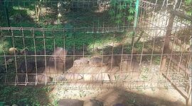 Makam kuno yang diyakini sebagai makam Raden Purbaya alias Gatotkaca atau Raksabaya - Istimewa