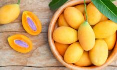 25 jenis buah dihasilkan dari Kabupaten Sukabumi, dari alpukat hingga jengkol