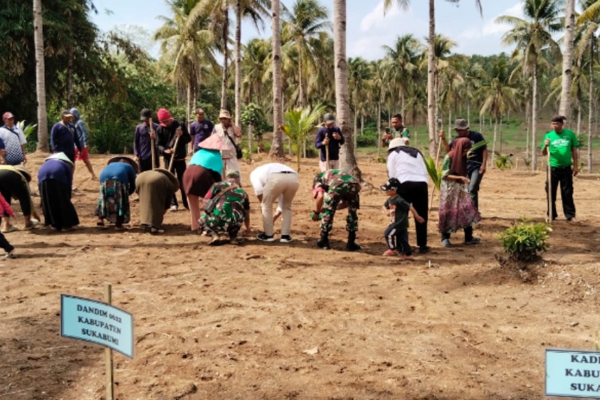 Ini 26 kecamatan penghasil padi gogo di Sukabumi, Cikakak paling sedikit 3 Produksi padi gogo Kabupaten Sukabumi naik 1.000%