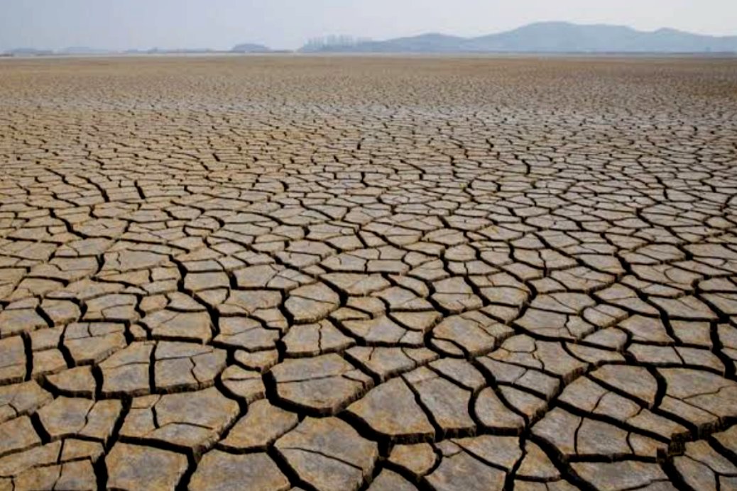 Petani wajib waspada, BRIN ingatkan fenomena Godzilla hingga Oktober 1 Musim kemarau
