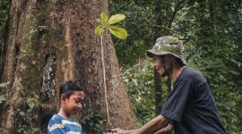 Hutan Berkelanjutan Perhutani - Perhutani