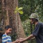 Hutan Berkelanjutan Perhutani - Perhutani