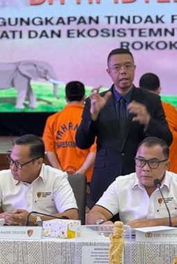 Bareskrim Polri bekuk pelaku perdagangan gading gajah di Sukabumi