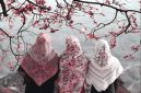 Ilustrasi hijab Muslimah - Pinterest